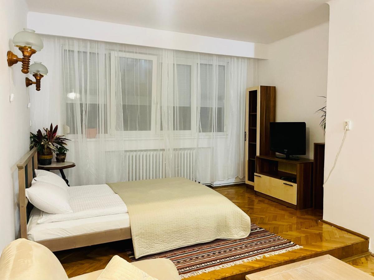 Little Cute Central House Apartment Satu Mare Ngoại thất bức ảnh