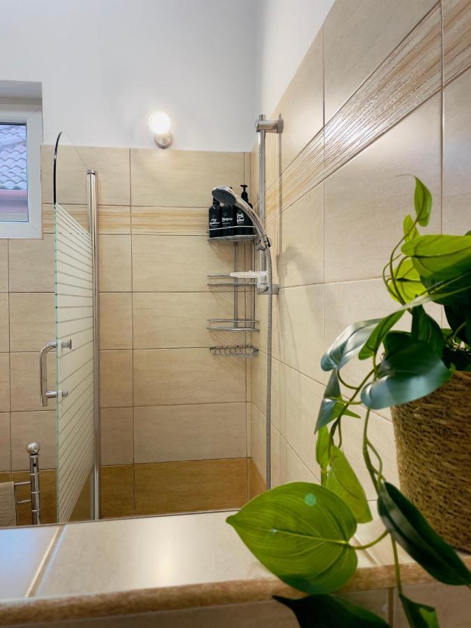 Little Cute Central House Apartment Satu Mare Ngoại thất bức ảnh